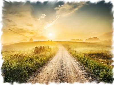 About NB VITALITY's Health Journey About NB VITALITY's Health Journey